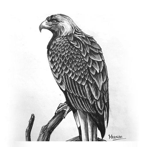 How to Draw Pencil Shading - Hunar Online Courses
